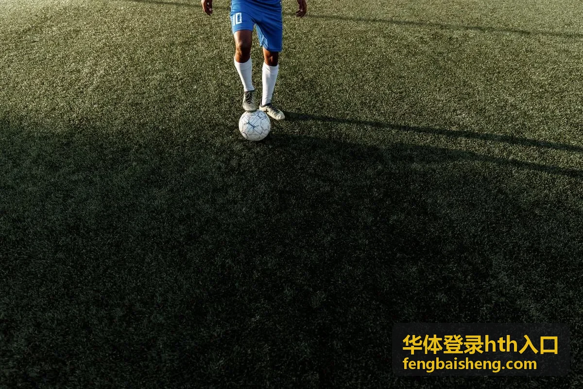 华体登录hth入口密码设置与验证方式封面