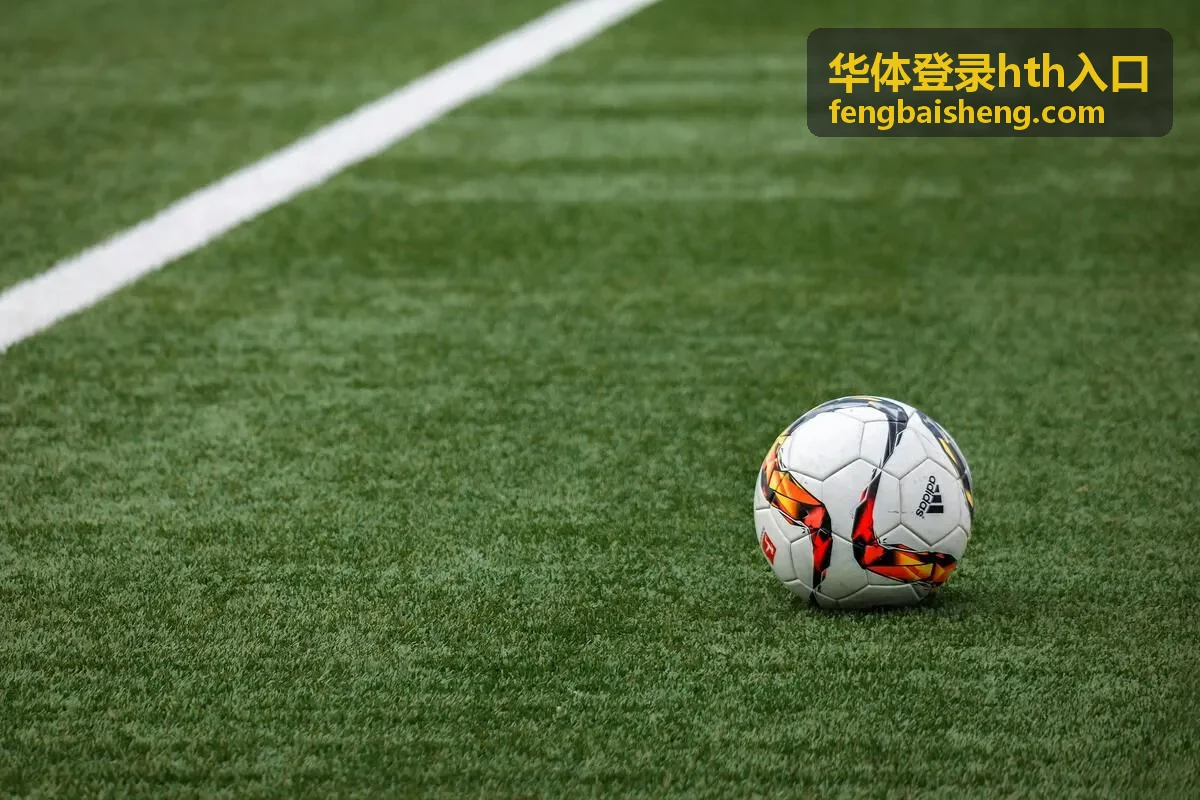华体登录hth入口登录入口指引栏目封面
