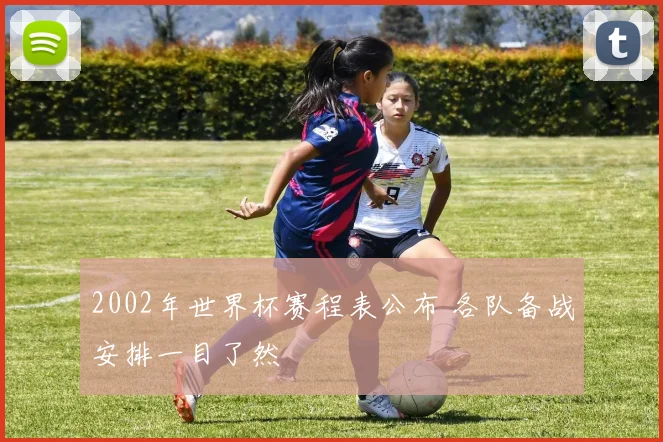 2002年世界杯赛程表公布 各队备战安排一目了然