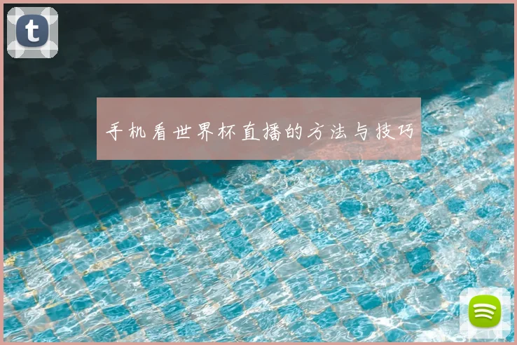 手机看世界杯直播的方法与技巧